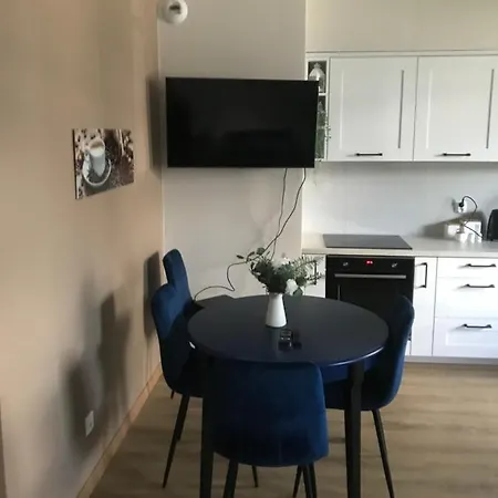 公寓 Wislane Tarasy 2.0, Free Parking, Private Garden 克拉科夫